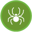 spiders